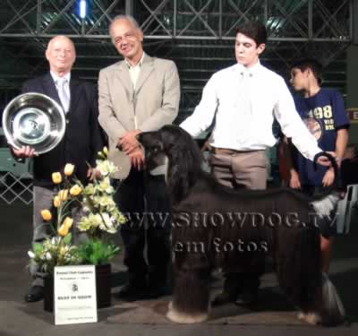 Clique sobre a foto para fechar